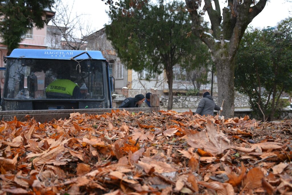 Parklarda Temizlik Çalışması