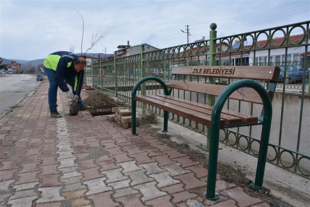 Saraç Deresi Yürüyüş Alanı Daha Yeşil Oluyor!