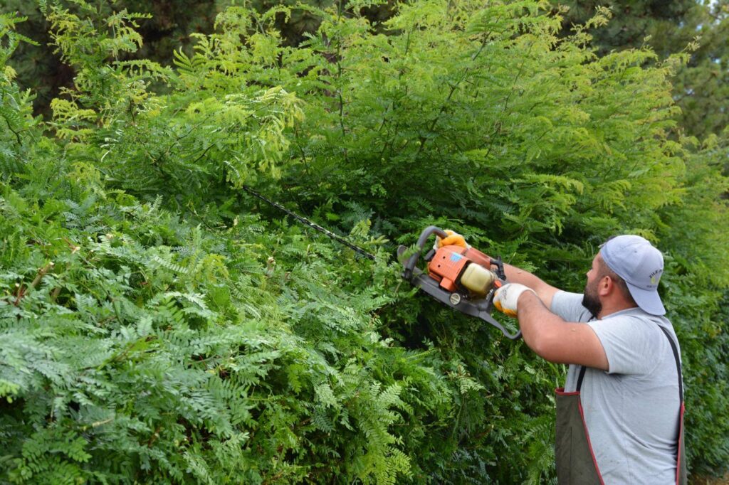 Zile Kalesi’nde Yeşil Dokunuş: Çim Biçme ve Budama Çalışmaları Sürüyor