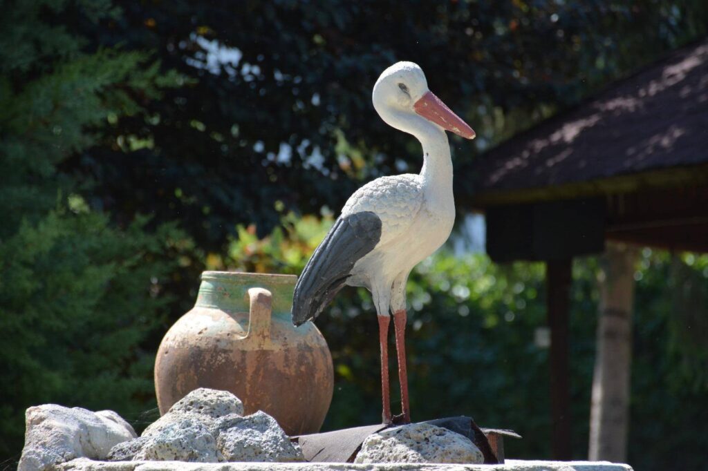 Zile Belediyesi Misafirhanesinde Çim Biçme Bakım Çalışması