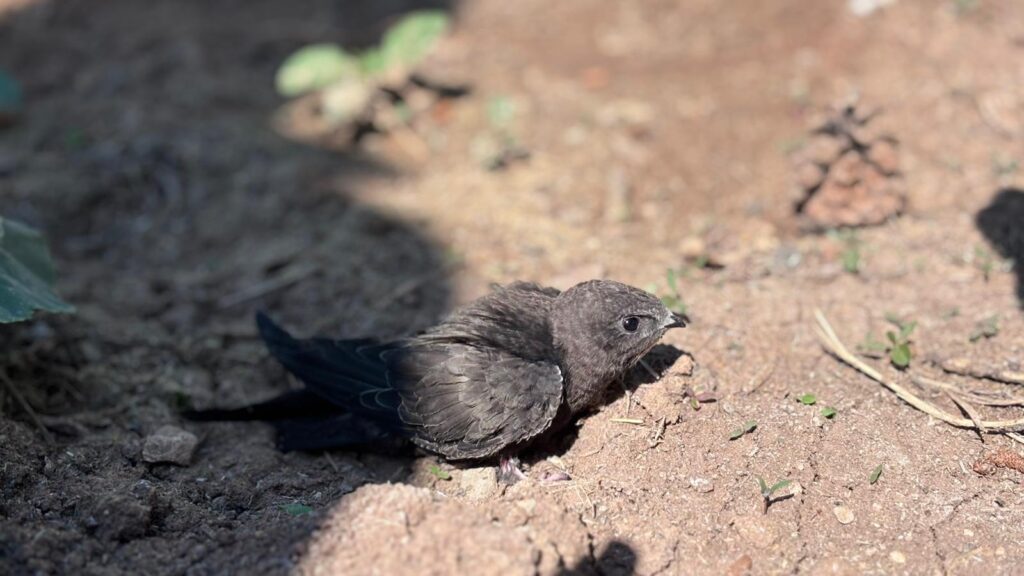 Duyarlı Vatandaşımıza Teşekkür Ederiz