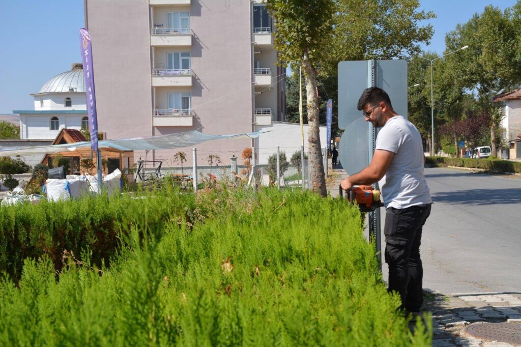 Zile’de Kaldırım ve Refüjlerde Bakım Çalışması