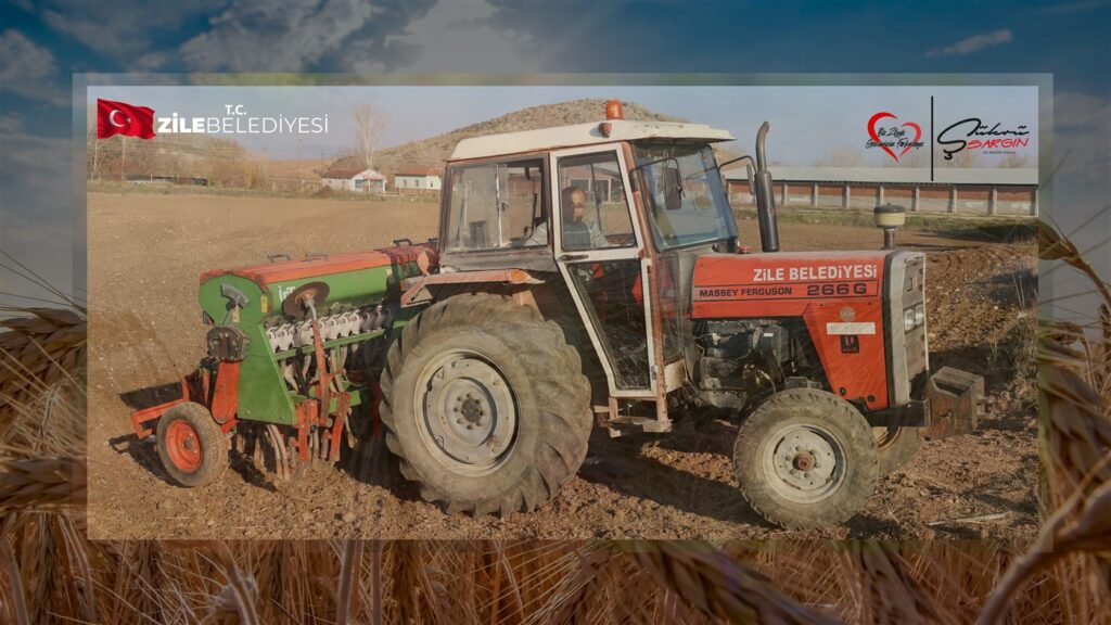 Zile Belediyesi’nden 15 Dönümlük Arazide Buğday Ekimi