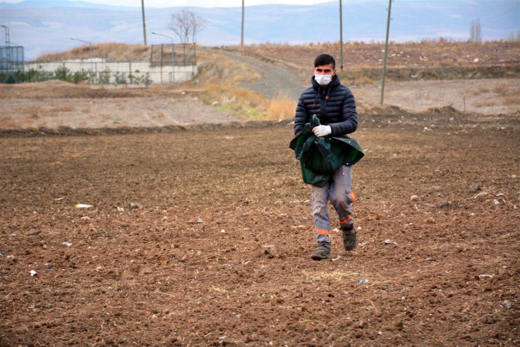 Zile’de Ata tohumu ‘Karakılçık’ buğdayı toprakla buluştu