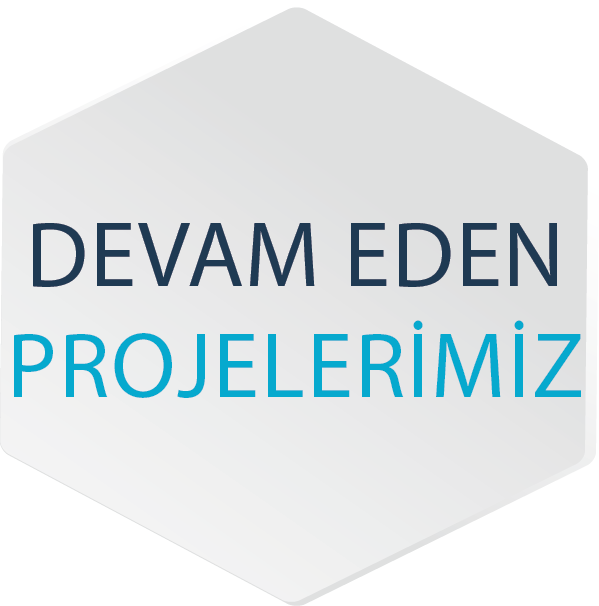 devam eden projeler