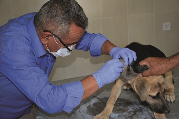 Yeme içmeleri bizden sevgi vermek sizden…