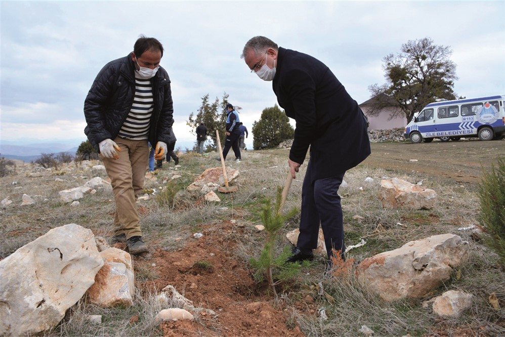 Hüseyin Gazi Tepesi’ni  2000 fidanla buluşturduk