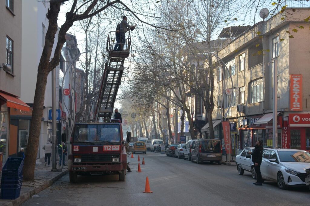 Zile Belediyesi Ağaç Budama Çalışması