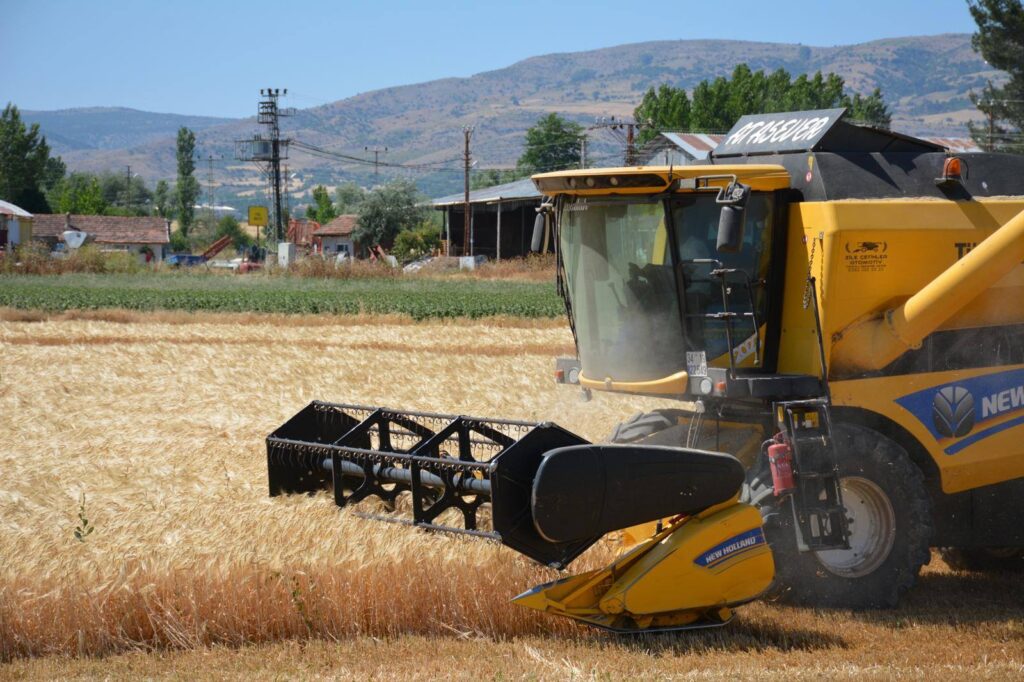 Zile Belediyesi’ne Ait Arazide Arpa Hasadı Gerçekleştirildi