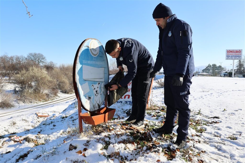 Kar Yağışı Sonrası Temizlik ve Mama Desteği