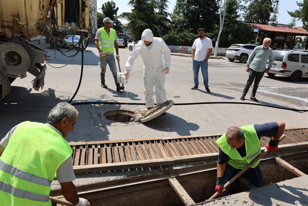 Haşerelere Karşı Yoğun İlaçlama Mesaisi